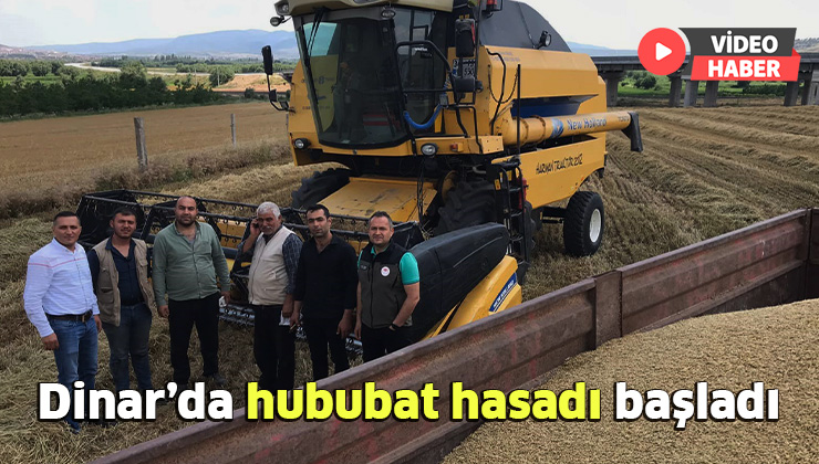 Dinar’da Hububat Hasadı Başladı