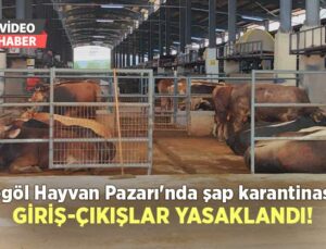 İnegöl Hayvan Pazarı’Nda Şap Karantinası, Giriş-Çıkışlar Yasaklandı