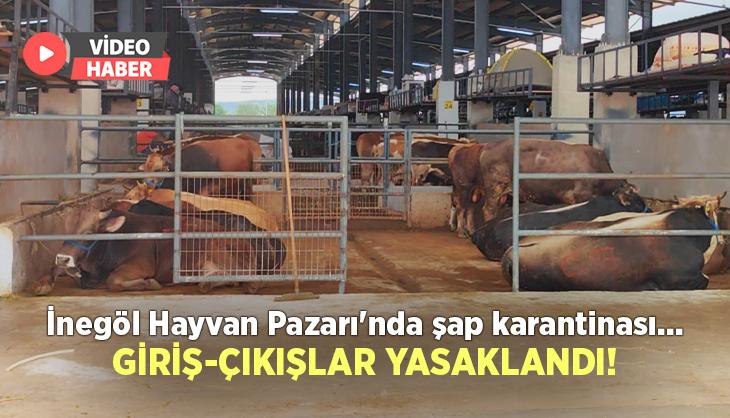 İnegöl Hayvan Pazarı’Nda Şap Karantinası, Giriş-Çıkışlar Yasaklandı
