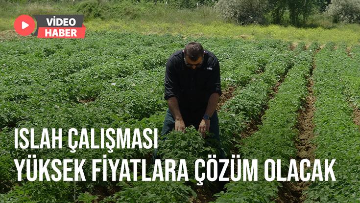 Islah Çalışmaları Yüksek Fiyatlara Çözüm Olacak