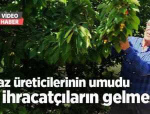 Kiraz Üreticilerinin Umudu Ihracatçıların Gelmesi