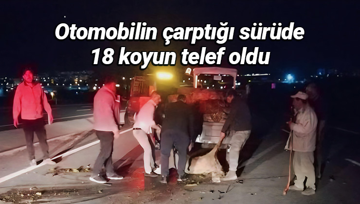 Otomobilin Çarptığı Koyun Sürüsünde 18 Koyun Telef Oldu