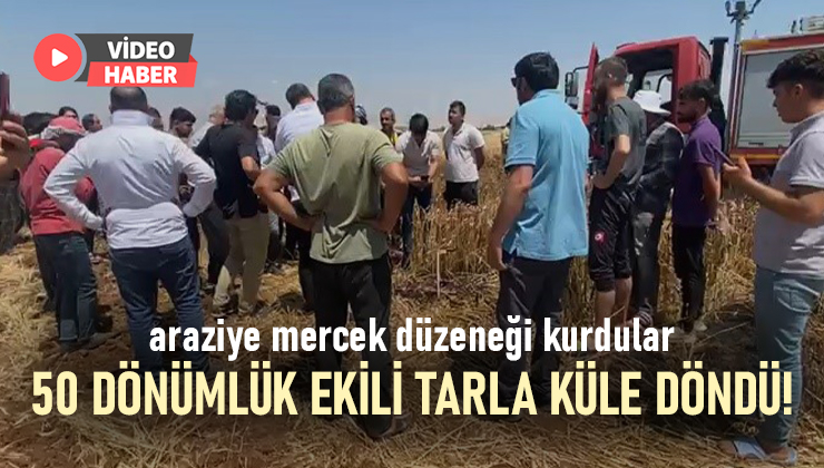 Araziye Mercek Düzeneği Kurdular, 50 Dönümlük Ekili Tarla Küle Döndü