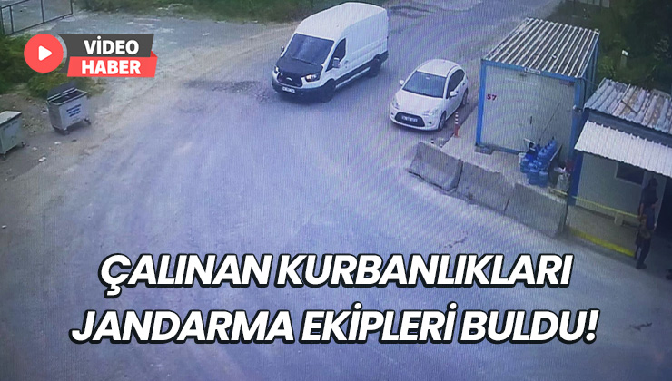 Çatalca’da Çalınan Kurbanlıklar Jandarma Ekipleri Tarafından Bulunarak Sahiplerine Teslim Edildi