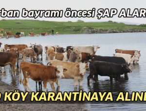 Kurban Bayramı Öncesi Şap Alarmı