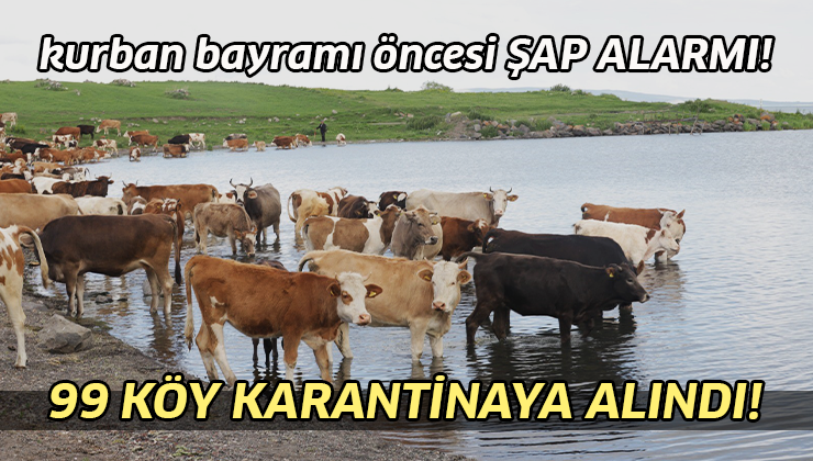 Kurban Bayramı Öncesi Şap Alarmı