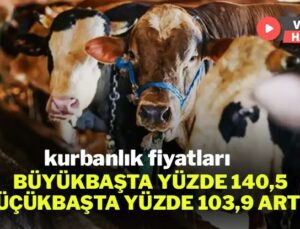 Kurbanlık Fiyatları Büyükbaşta Yüzde 140,5, Küçükbaşta Yüzde 103,9 Arttı