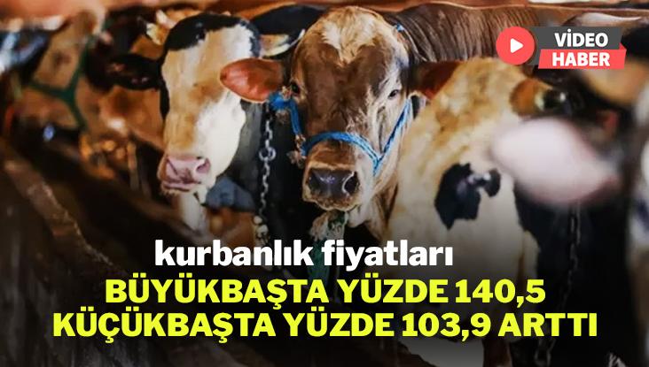 Kurbanlık Fiyatları Büyükbaşta Yüzde 140,5, Küçükbaşta Yüzde 103,9 Arttı