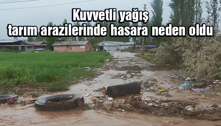 Kuvvetli Yağış Tarım Arazilerinde Hasara Neden Oldu