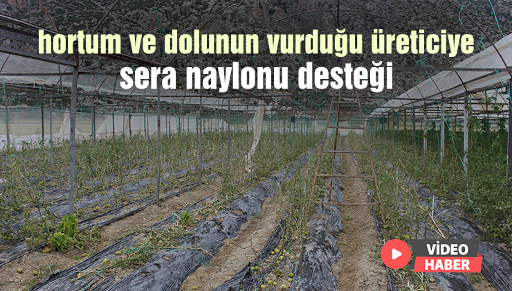 Hortum Ve Dolunun Vurduğu Üreticiye Sera Naylonu Desteği