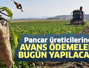 Pancar Üreticilerine Avans Ödemeleri Bugün Yapılacak