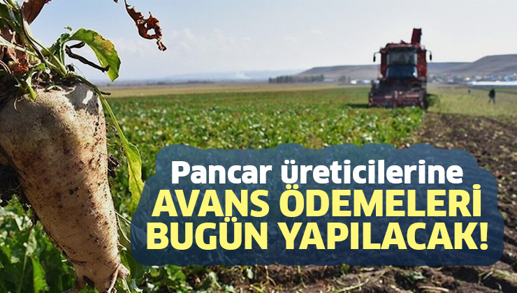 Pancar Üreticilerine Avans Ödemeleri Bugün Yapılacak