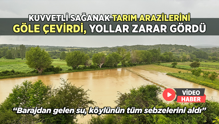 Kuvvetli Sağanak Tarım Arazilerini Göle Çevirdi, Yollar Zarar Gördü