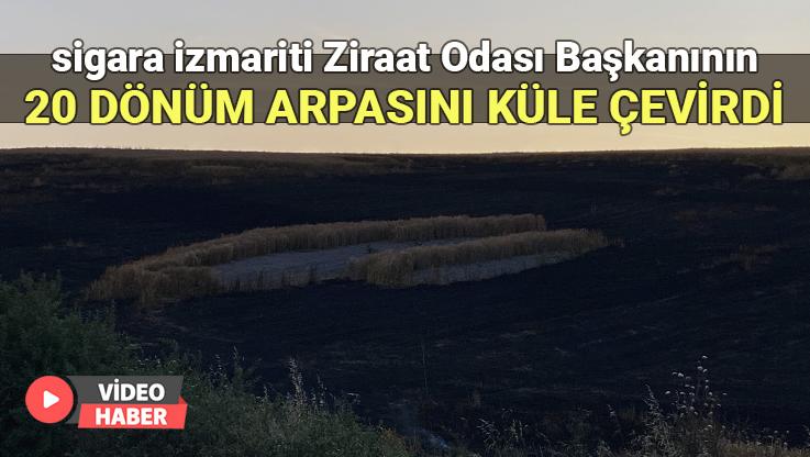 Sigara Izmariti Ziraat Odası Başkanının 20 Dönüm Arpasını Küle Çevirdi