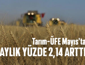 Tarım Ürünleri Üretici Fiyat Endeksi Aylık Yüzde 2.14 Arttı