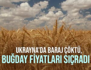 Ukrayna’Da Baraj Çöktü, Buğday Fiyatları Sıçradı