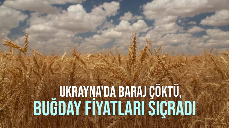 Ukrayna’Da Baraj Çöktü, Buğday Fiyatları Sıçradı