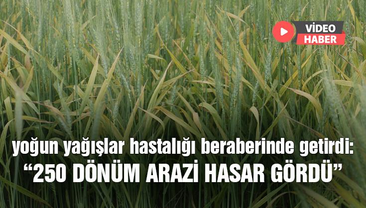 Yoğun Yağışlar Hastalığı Beraberinde Getirdi