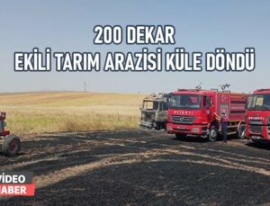 200 Dekar Ekili Tarım Arazisi Küle Döndü