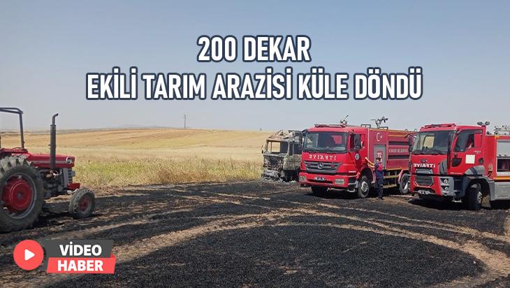 200 Dekar Ekili Tarım Arazisi Küle Döndü