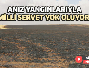 Anız Yangınlarıyla Milli Servet Yok Oluyor