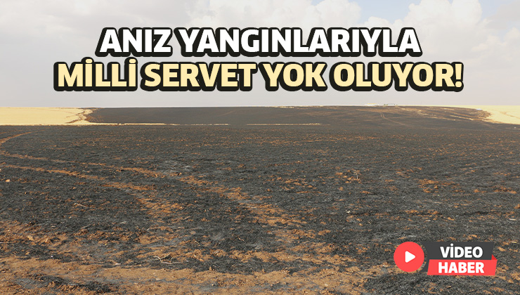 Anız Yangınlarıyla Milli Servet Yok Oluyor