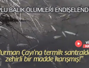 Hurman Çayı’Nda Toplu Balık Ölümleri Vatandaşları Endişelendirdi