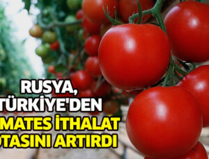 Rusya, Türkiye’Den Domates Ithalat Kotasını Artırdı