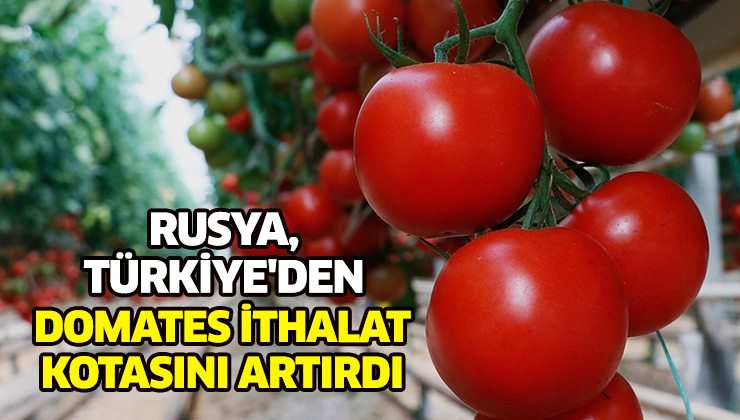 Rusya, Türkiye’Den Domates Ithalat Kotasını Artırdı