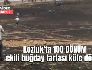 Kozluk’Ta 100 Dönüm Buğday Tarlası Küle Döndü