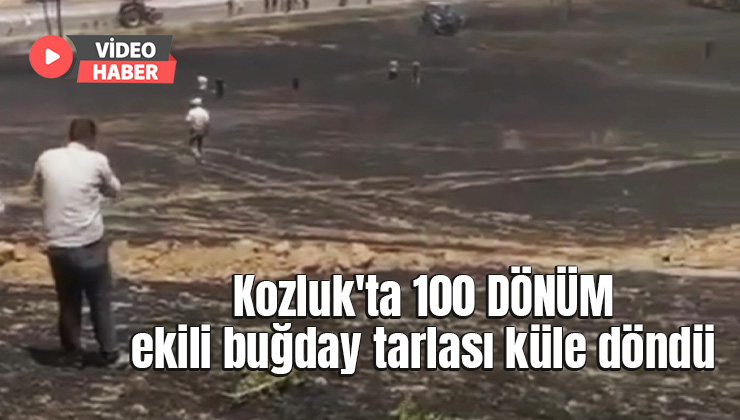 Kozluk’Ta 100 Dönüm Buğday Tarlası Küle Döndü