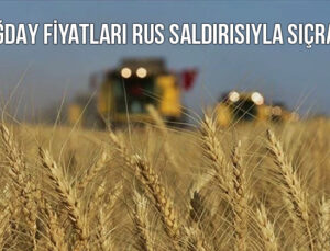 Buğday Fiyatları Rus Saldırısıyla Sıçradı