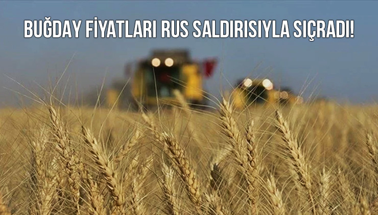 Buğday Fiyatları Rus Saldırısıyla Sıçradı