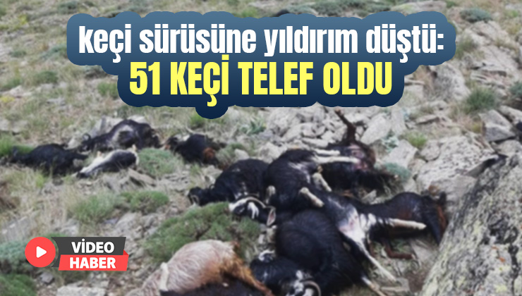 Bingöl’de Keçi Sürüsüne Yıldırım Düştü: 51 Keçi Telef Oldu