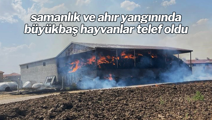 Samanlık Ve Ahır Yangınında Hayvanlar Telef Oldu