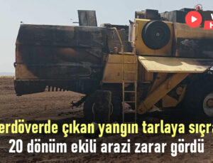 Biçerdöverde Çıkan Yangın Tarlaya Sıçradı, 20 Dönüm Arazi Zarar Gördü