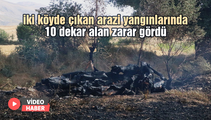 İki Köyde Çıkan Arazi Yangınlarında 10 Dekar Alan Zarar Gördü