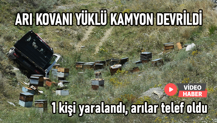 Arı Kovanı Yüklü Kamyon Devrildi: 1 Kişi Yaralandı, Arılar Telef Oldu