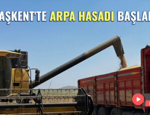 Başkent’Te Arpa Hasadı Başladı