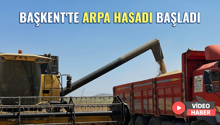 Başkent’Te Arpa Hasadı Başladı