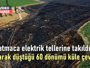 Atmaca Elektrik Tellerine Takıldı, Yanarak Düştüğü 60 Dönümü De Küle Çevirdi