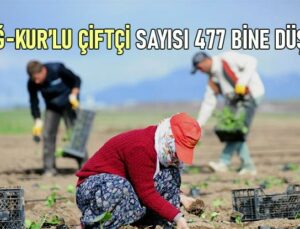 Bağ-Kur’lu Çiftçi Sayısı 477 Bine Düştü