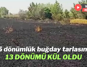 15 Dönümlük Buğday Tarlasının 13 Dönümü Kül Oldu