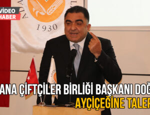 Adana Çiftçiler Birliği Başkanı Doğru “Ayçiçeğine Talep Az”