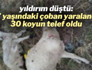 Yıldırım Düşmesi Sonucu Bir Çoban Yaralandı, 30 Koyun Telef Oldu