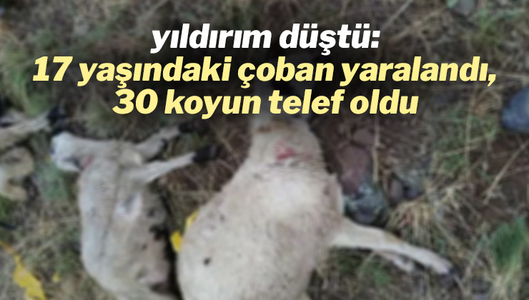 Yıldırım Düşmesi Sonucu Bir Çoban Yaralandı, 30 Koyun Telef Oldu