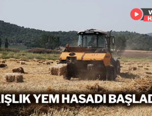 Kışlık Yem Hasadı Başladı