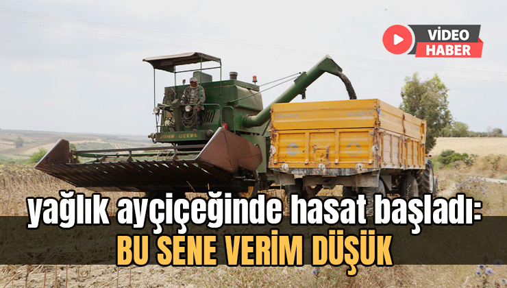 Stratejik Ürün Olan Yağlık Ayçiçeğinde Hasat Başladı