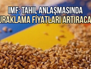 Imf: Tahıl Anlaşmasında Duraklama Fiyatları Artıracak