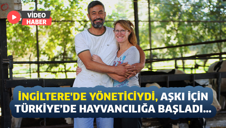 İngiltere’De Yöneticiydi, Aşkı Için Aydın’Da Hayvancılığa Başladı…